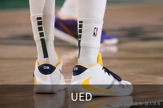 UED公司简介